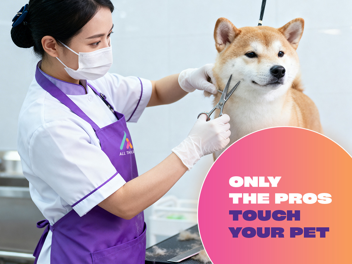 All Tails dog grooming packages comparison